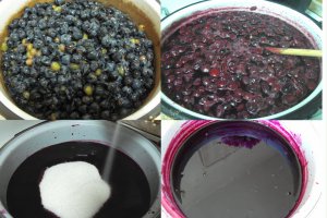 Sirop din struguri negri