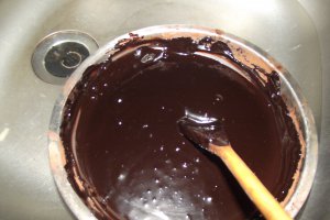Desert tort Vali 49