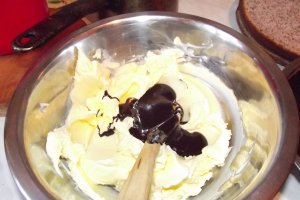 Desert tort Vali 49