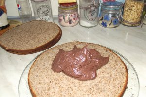 Desert tort Vali 49