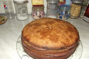 Desert tort Vali 49