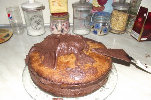 Desert tort Vali 49