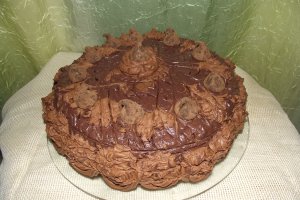 Desert tort Vali 49