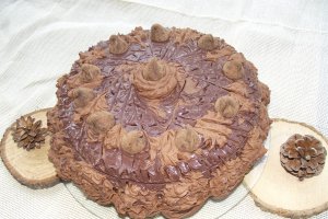 Desert tort Vali 49