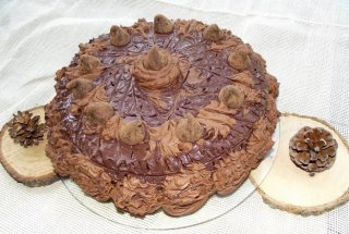 Desert tort Vali 49