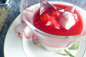 Desert pana cotta cu sirop de coacaze rosii