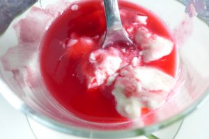 Desert pana cotta cu sirop de coacaze rosii