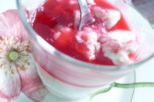 Desert pana cotta cu sirop de coacaze rosii