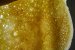 Clatite gaurite-1