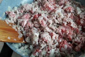 Culibiaca (Placinta cu carne tocata)