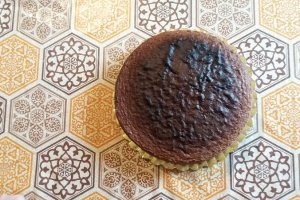 Desert tort Musuroi de cartita