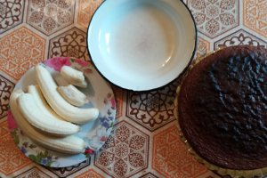 Desert tort Musuroi de cartita