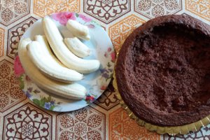 Desert tort Musuroi de cartita