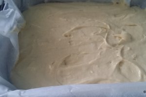 Desert prajitura Lamington - Tavalita cu cocos si ciocolata