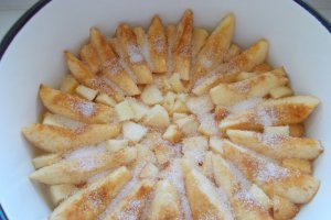 Desert tort de gutui