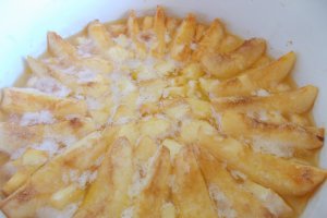Desert tort de gutui