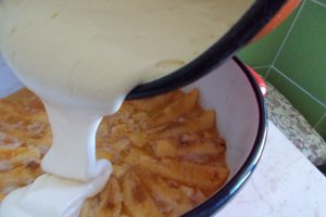 Desert tort de gutui