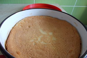 Desert tort de gutui