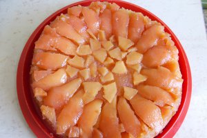 Desert tort de gutui