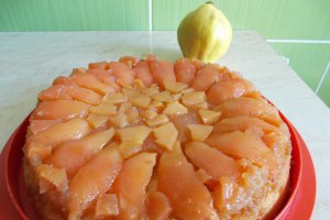 Desert tort de gutui