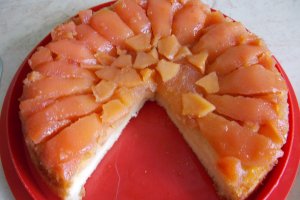 Desert tort de gutui