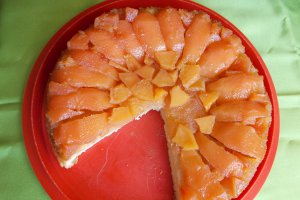 Desert tort de gutui