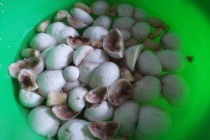 Ciulama de champignons cu mamaliguta