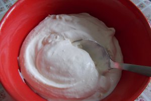 Ciulama de champignons cu mamaliguta