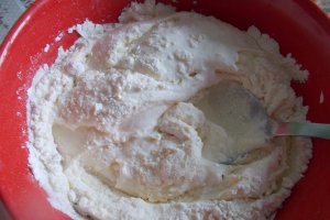Ciulama de champignons cu mamaliguta