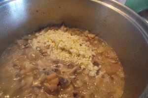 Ciulama de champignons cu mamaliguta