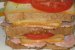 Sandwich turnulet-7