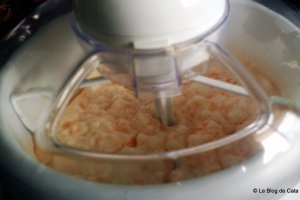 Sorbet de pepene galben, limoncello si fructul pasiunii