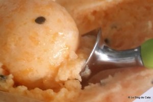 Sorbet de pepene galben, limoncello si fructul pasiunii
