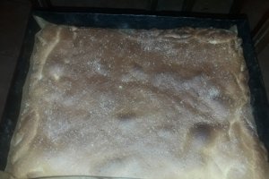 Desert placinta cu branza si urda (2)