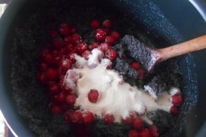 Desert placinta cu mac si coacaze rosii