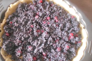 Desert placinta cu mac si coacaze rosii
