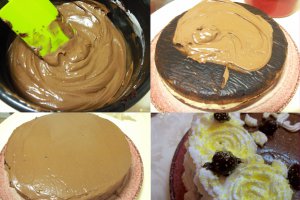 Desert tort Steliana