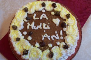 Desert tort Steliana