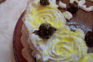 Desert tort Steliana