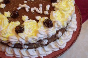 Desert tort Steliana