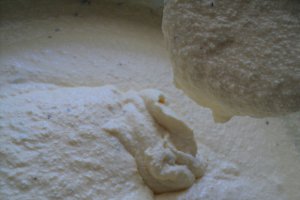Aperitiv tarta cu branza si ciuperci