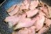 Varza calita cu carne de porc-5