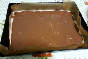 Desert prajitura in doua culori - de post