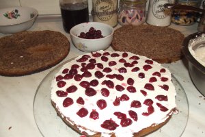 Desert tort Un nou inceput de drum