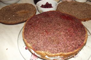Desert tort Un nou inceput de drum