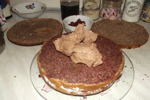 Desert tort Un nou inceput de drum