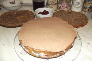 Desert tort Un nou inceput de drum