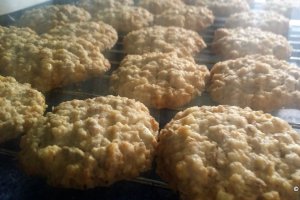 Desert biscuiti cu ovaz si ciocolata ca la IKEA KAFFEREP
