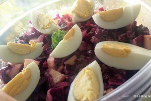 Salata de varza rosie cu mar