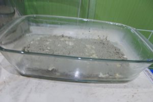 Desert julfa
